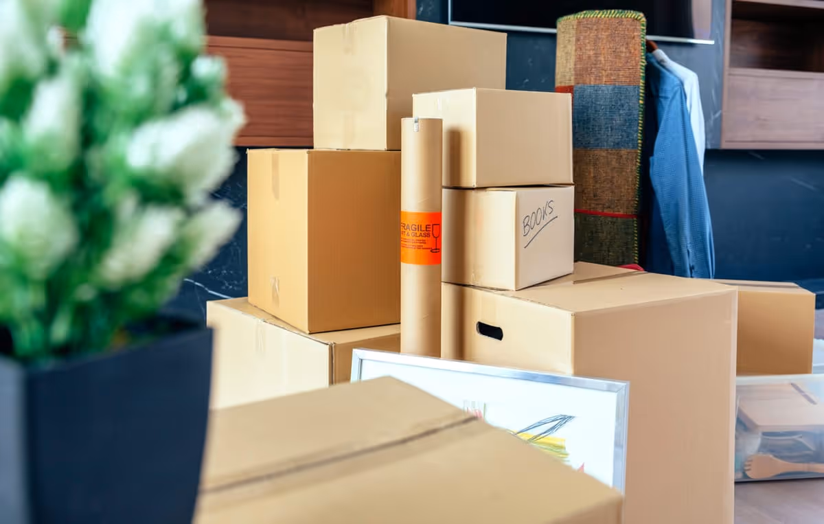 Umzug mit Haustieren – Hund und Katze stressfrei umziehen