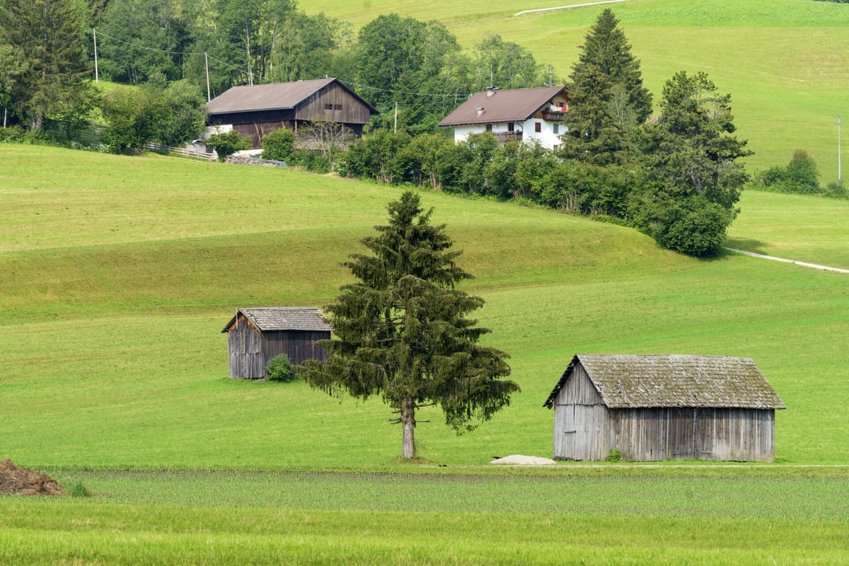 Umzugsunternehmen Deutschland Schweiz